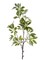 31.5" Artificial Schefflera Leaf Spray | Faux Greenery Stem for Floral Arrangements & Home Decor (FG662874)